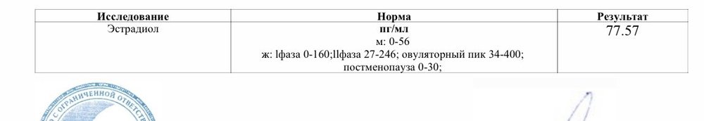 IMG_6053.jpg