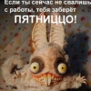scorpion13